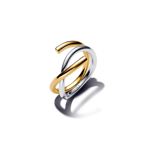 Organically Shaped Two-tone Double Ring